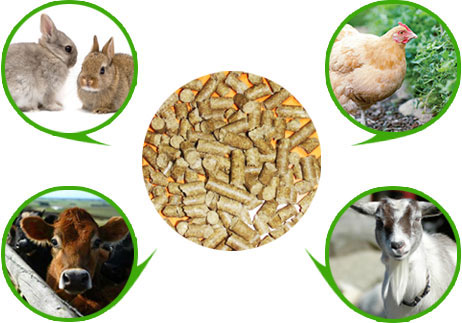 飼料顆粒機(jī)械可以用于牛羊豬兔魚等禽畜養(yǎng)殖中 飼料顆粒機(jī)械可以用于牛羊豬兔魚等禽畜養(yǎng)殖中